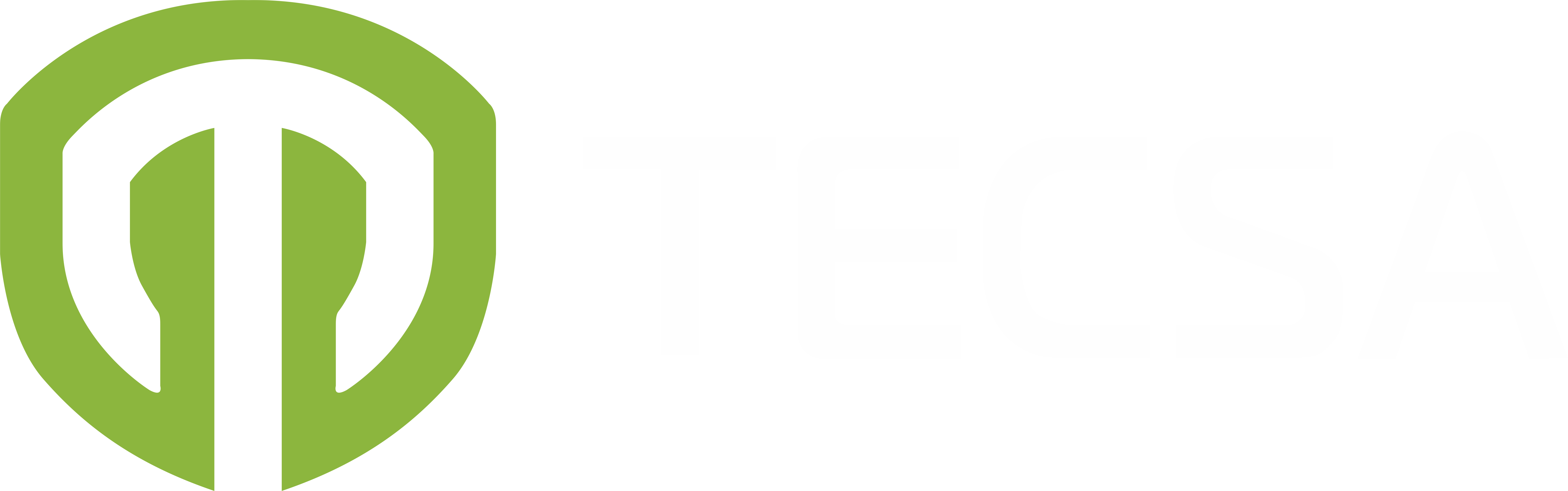 TECSA